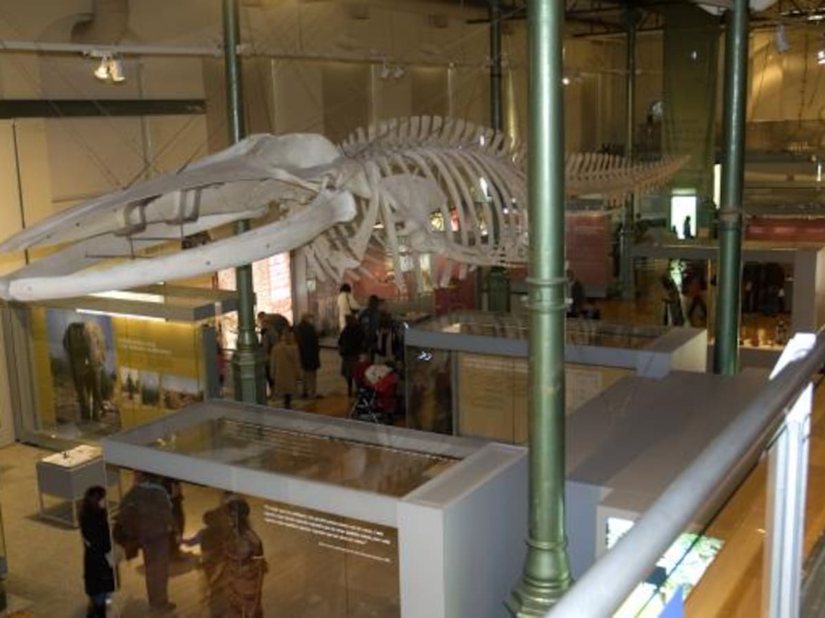 Descubriendo especies y museos, con Juan José Sanz (16/09/2025)