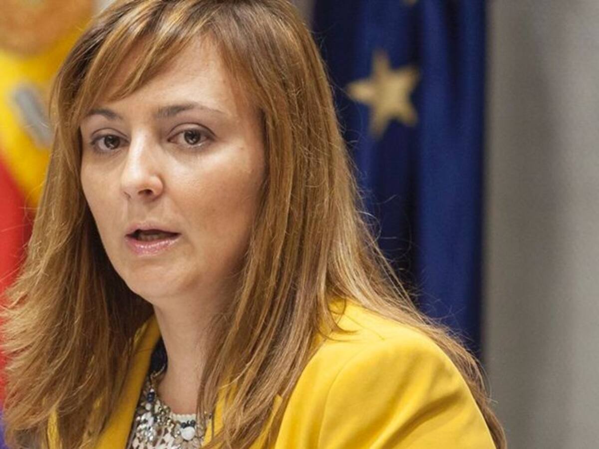 El Consultivo avala la remisión de competencias en materia de suelo a cabildos y ayuntamientos