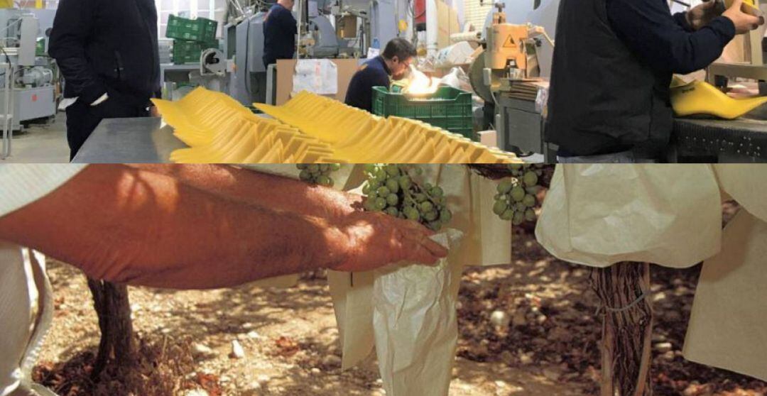 Dos sectores presentes en el sindicato