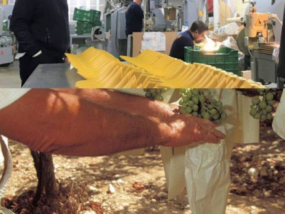 Nace desde Elda, el Sindicato Intersectorial de Trabajadores/as de la Provincia de Alicante