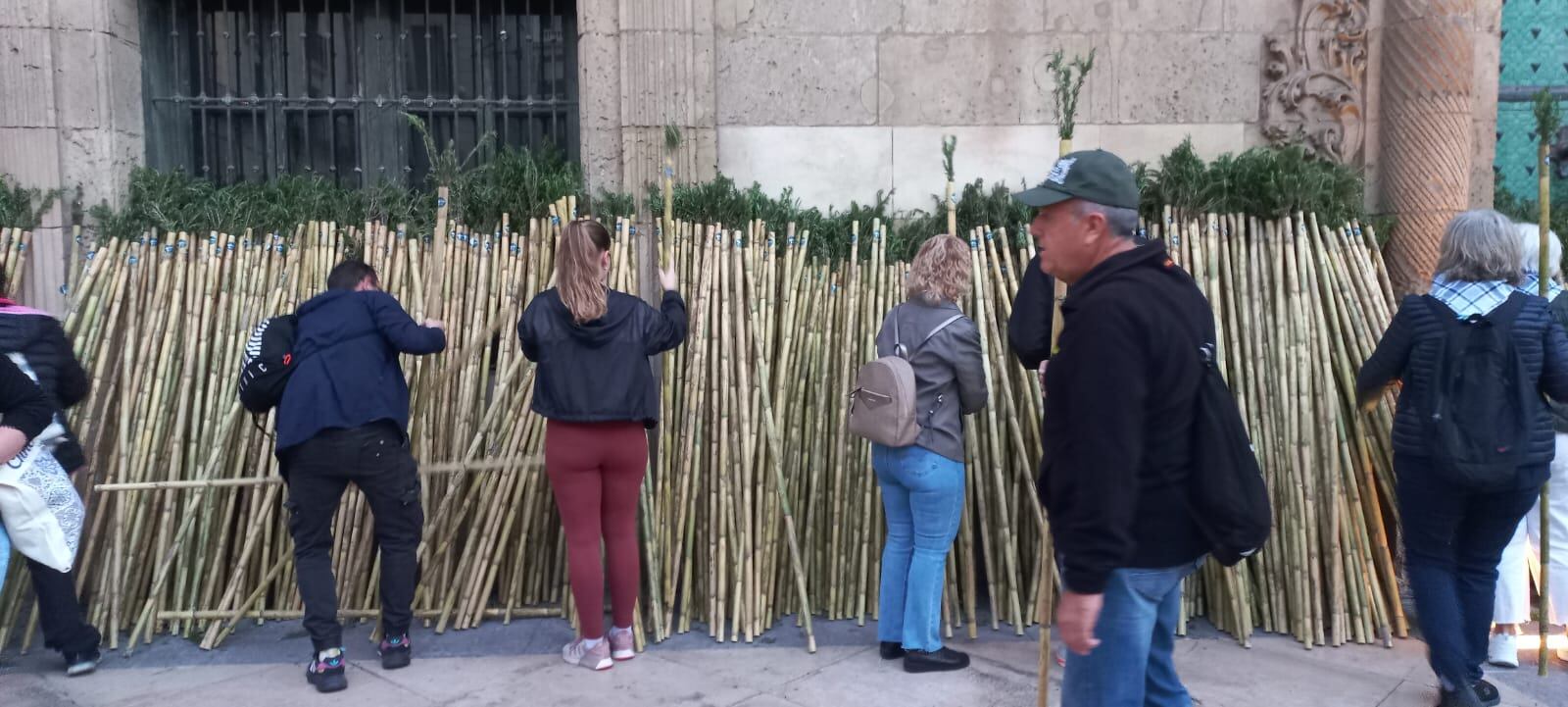 Reparto de cañas para la Santa Faz 2026 en la puerta del Ayuntamiento
