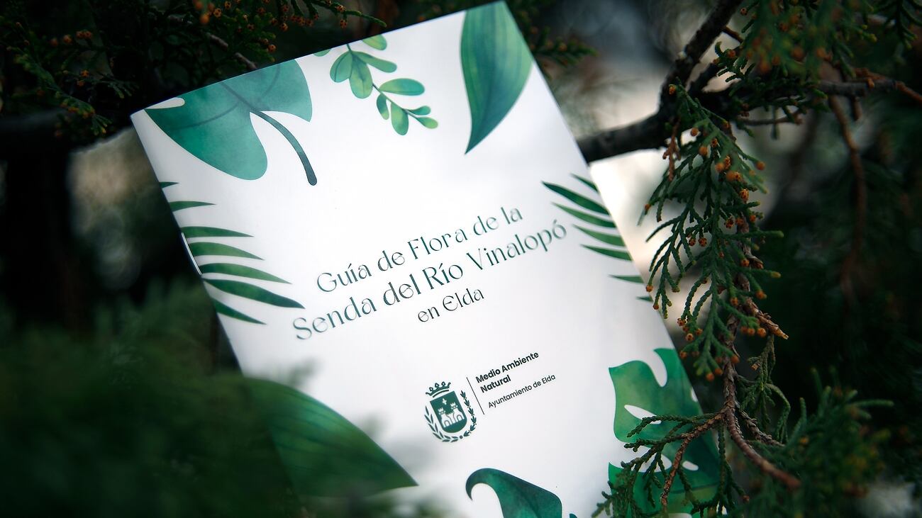 La guía incluye fichas sencillas y visuales que recogen descripciones, rasgos ecológicos, usos tradicionales, estado de conservación y localización aproximada de cada planta