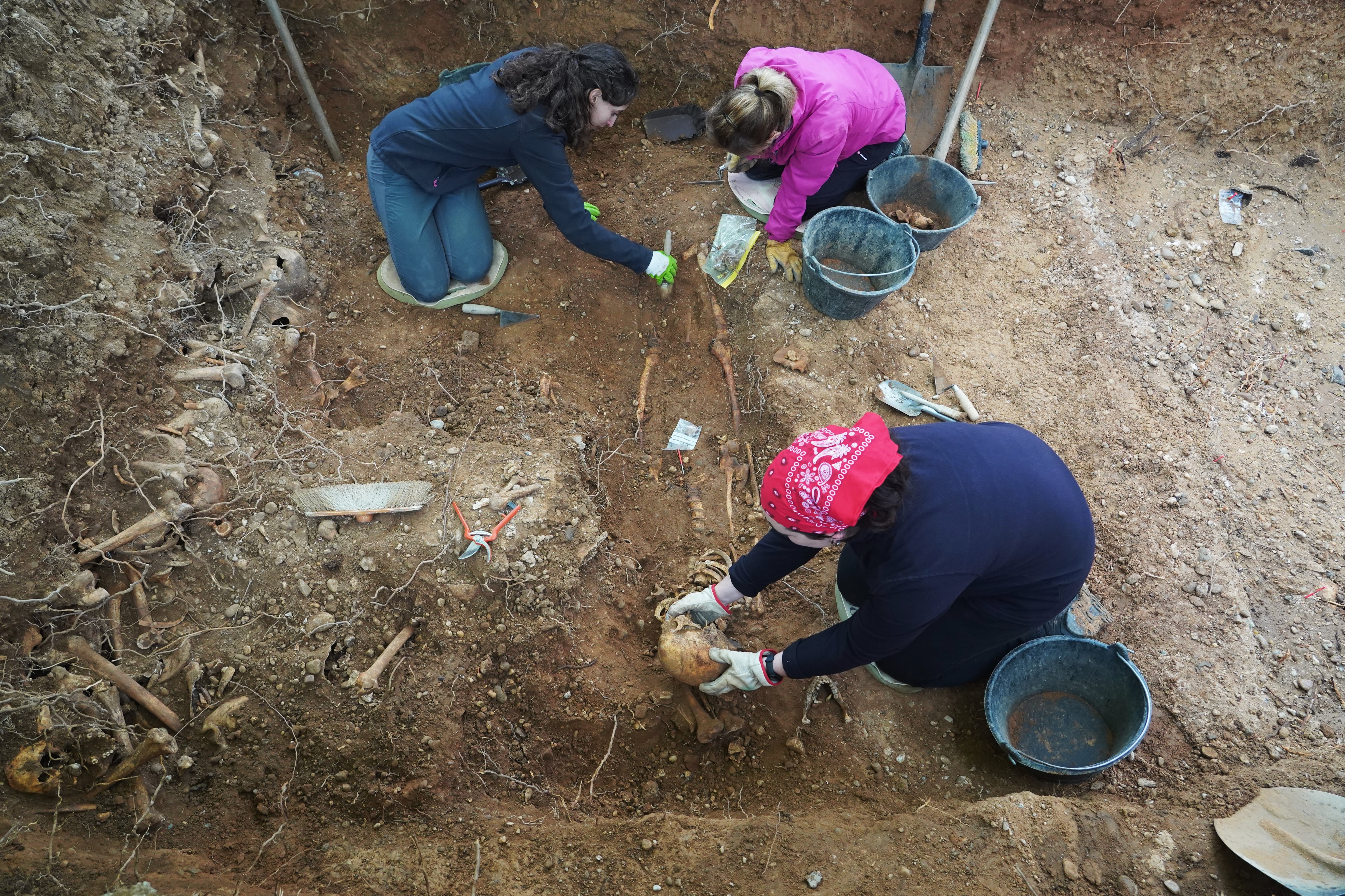 Trabajos de exhumación que la ARMH realiza en el Cementerio de El Carmen en Valladolid