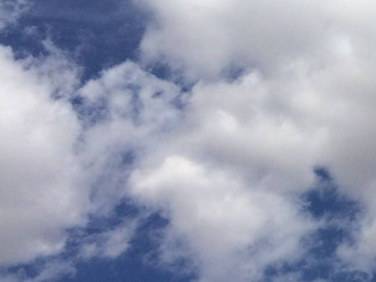 Albacete sigue en alerta por viento