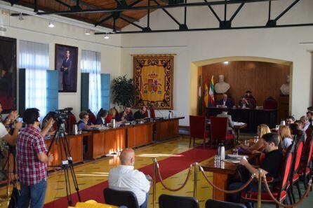 Imagen del Pleno celebrado esta mañana en la Estación de Madrid