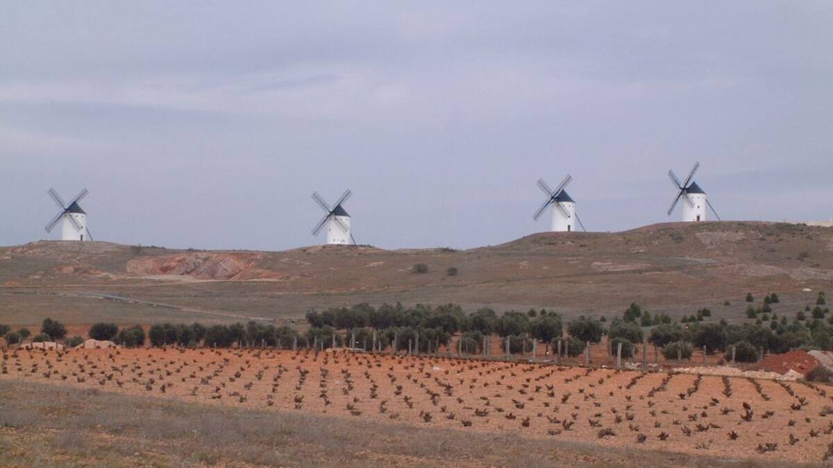 La ruta del vino de La Mancha se presentará a primeros de octubre