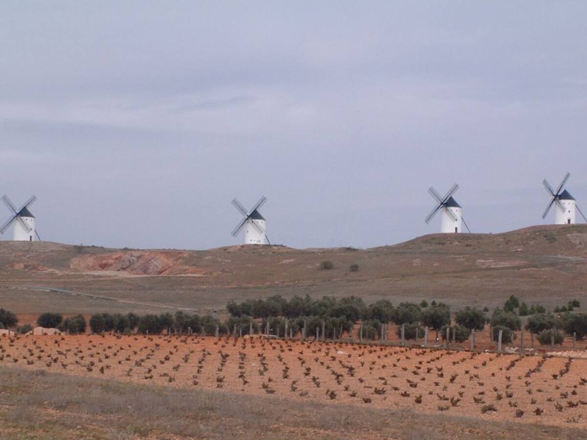 La ruta del vino de La Mancha se presentará a primeros de octubre