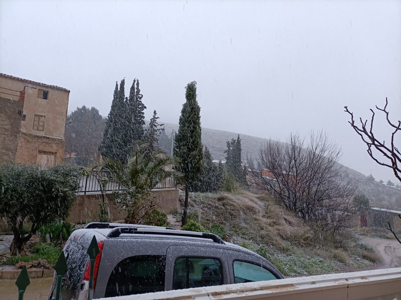 Nieva en Coy