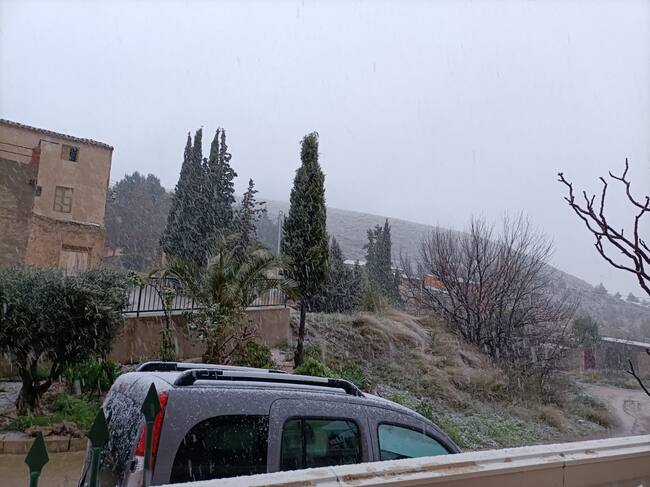 Nieva en Coy