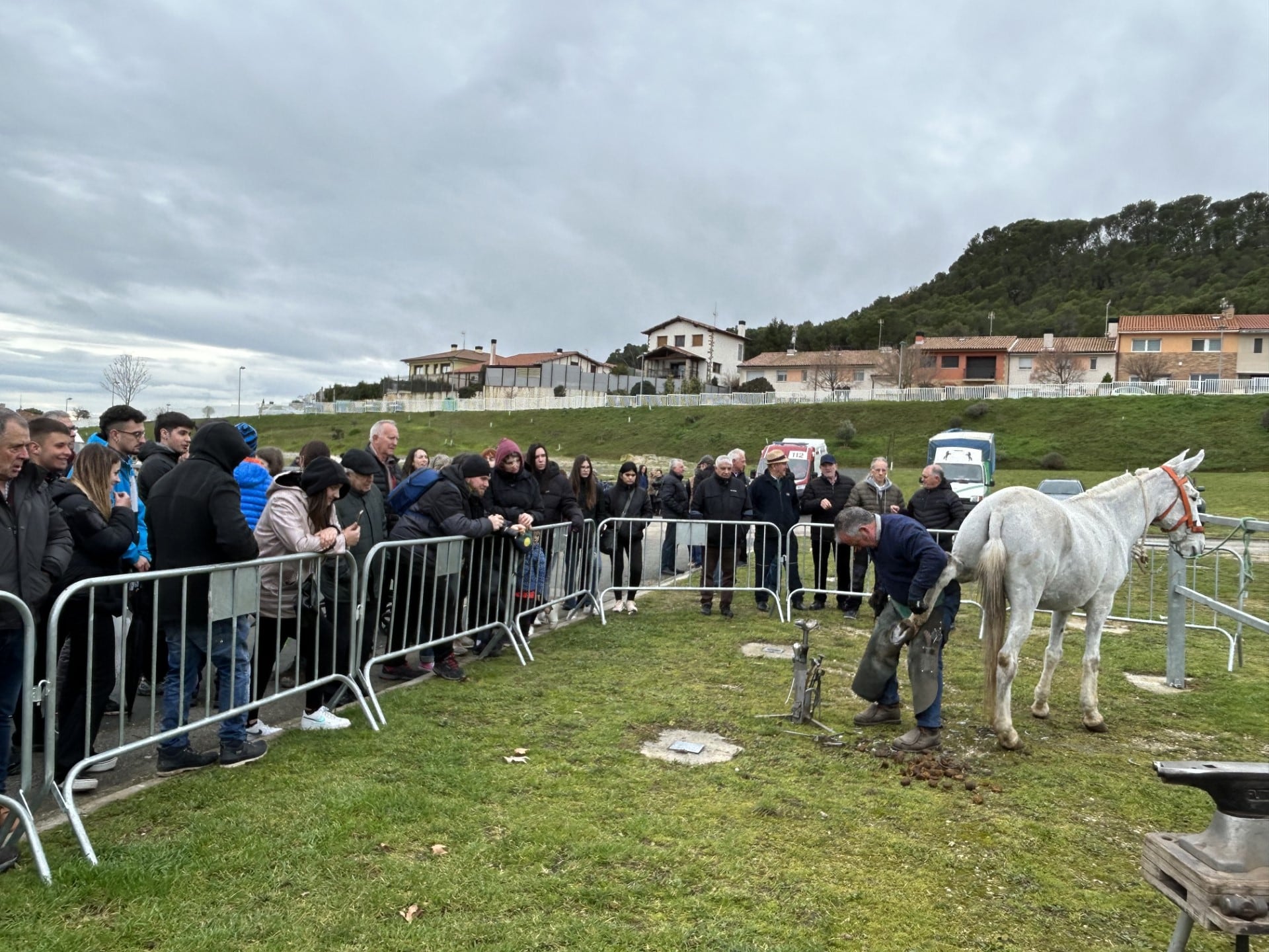 Exhibición de herraje equino en la feria caballar de Tafalla