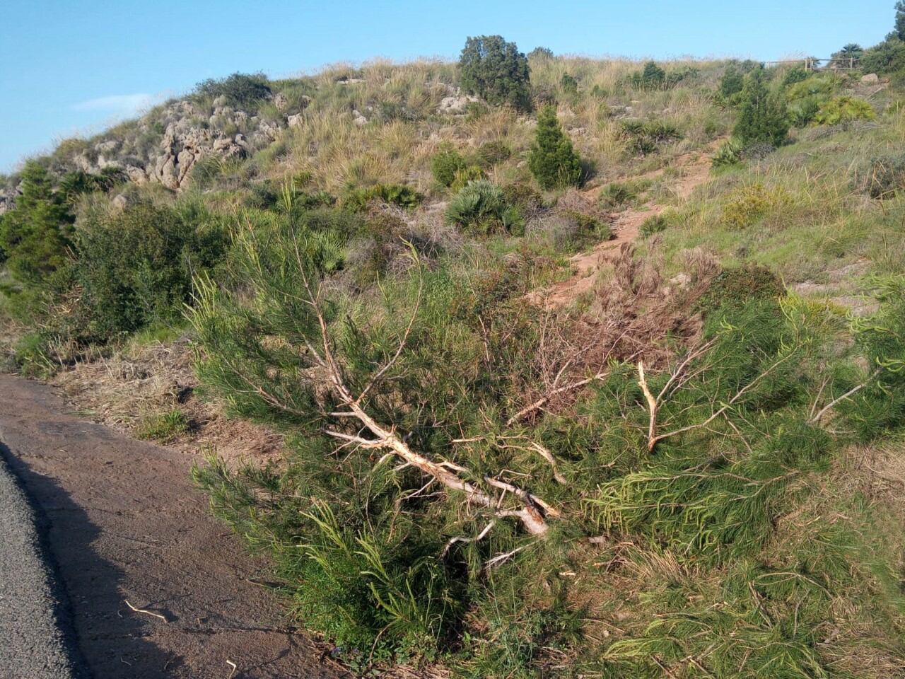 Destrozos en Atamaría