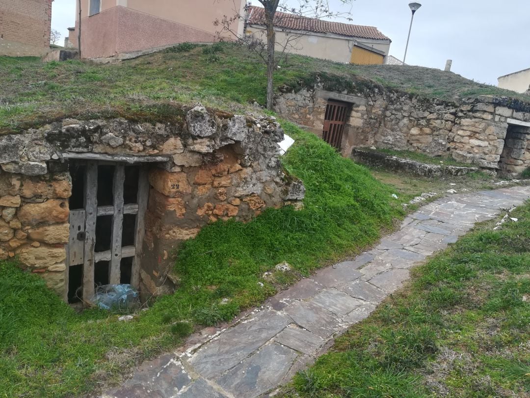 Bodegas y lagares de Castrillo de la Vega