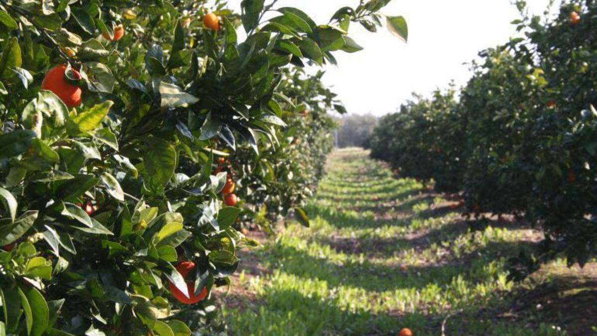 Entrevista en La Ventana a Ramón Mampel