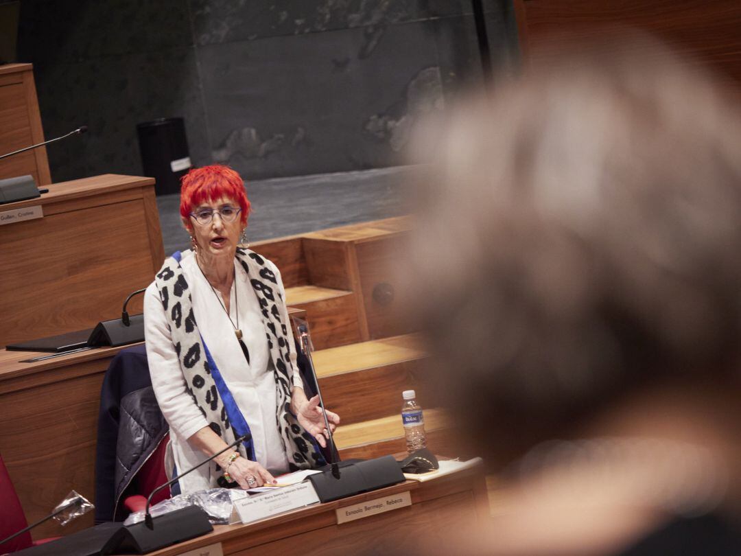 La consejera de Salud del Gobierno de Navarra, Santos Induráin.