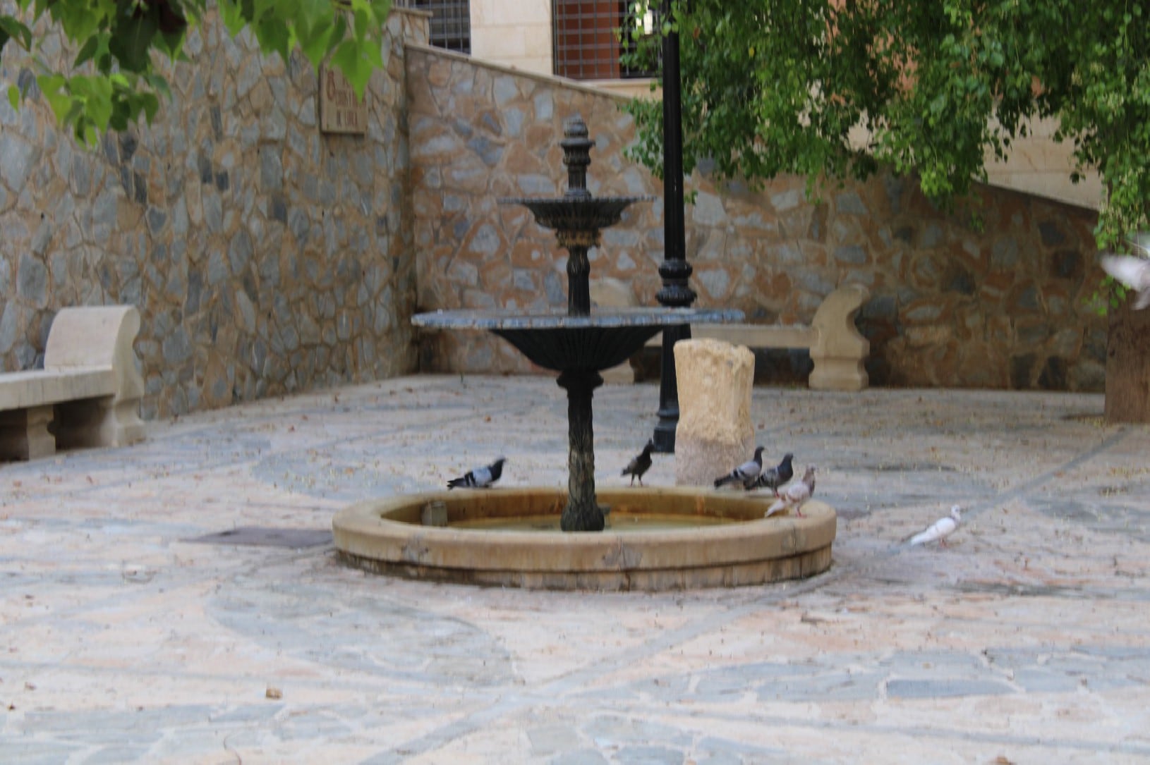 Captura de palomas en Lorca para evitar molestias a los vecinos.