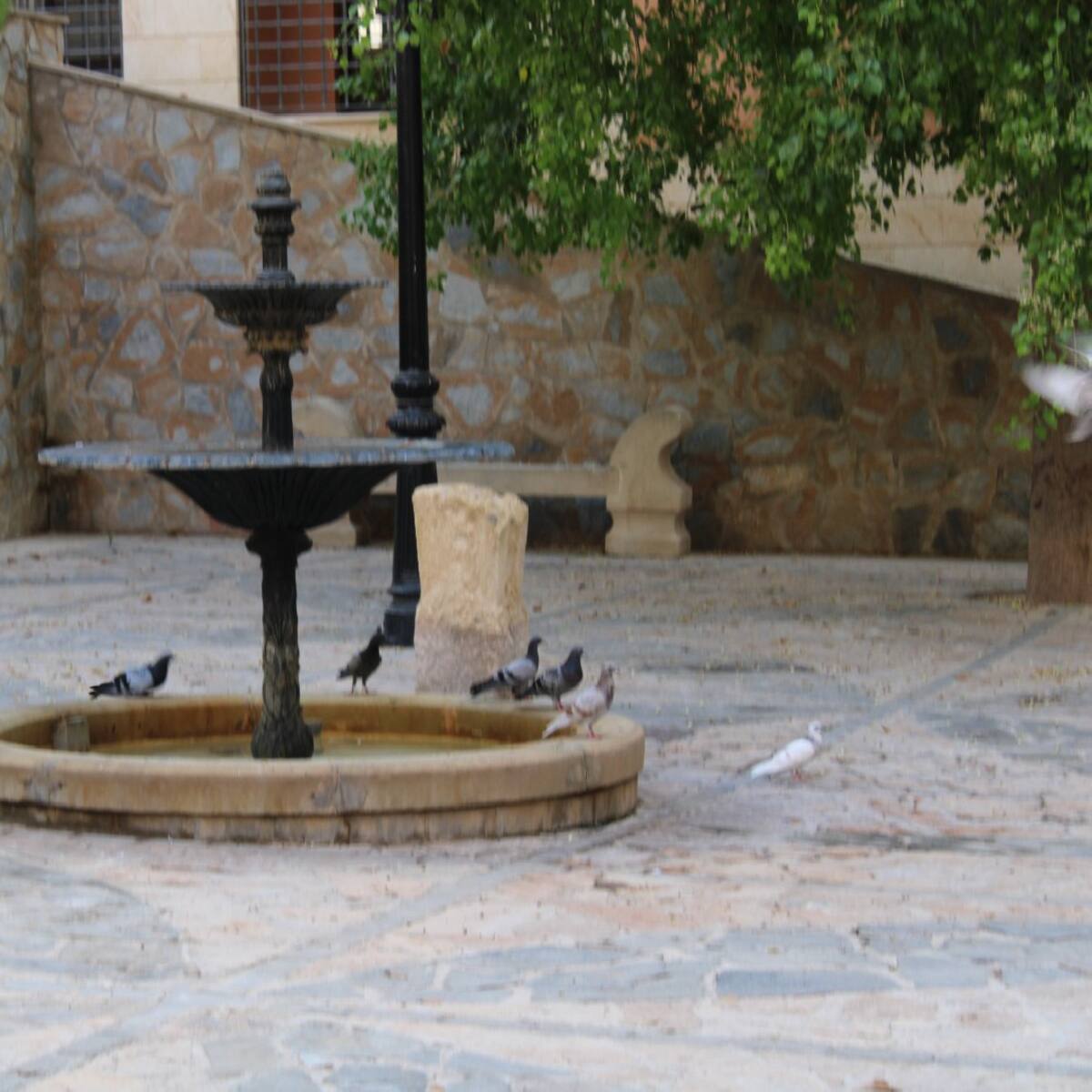 Retiran casi dos centenares de palomas de las inmediaciones del Santuario de la Virgen de las Huertas de Lorca