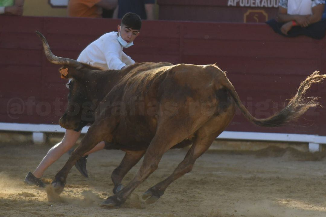 Un joven participa en el festejo taurino celebrado en la Comunitat Valenciana