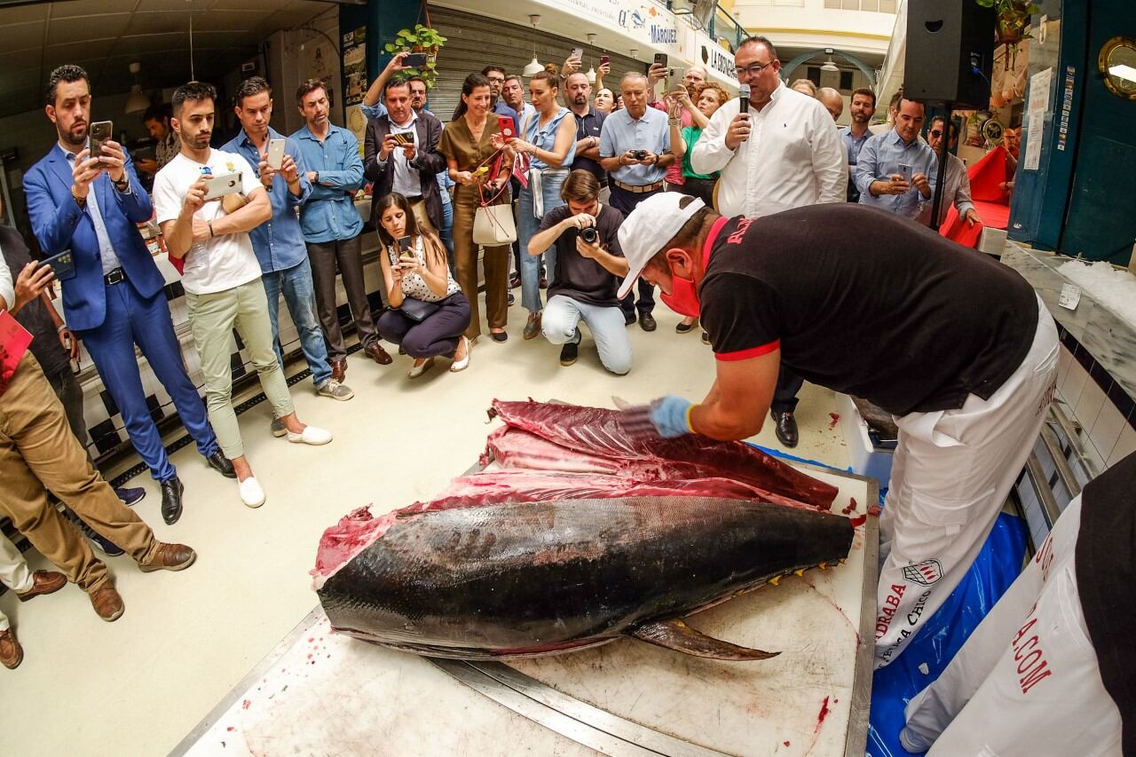 Durante la presentación de la ruta gastronómica se procedió al ronqueo de una pieza de atún