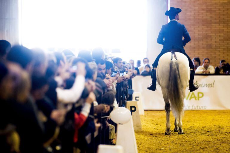 Un momento del Salón Internacional del Caballo (SICAB) 2016 en Sevilla, que ha celebrado este domingo su última jornada. 