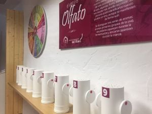 El espacio reservado en el museo para el sentido del olfato