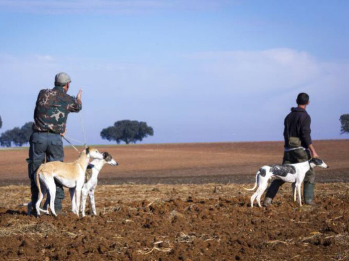 Comienza la temporada de caza
