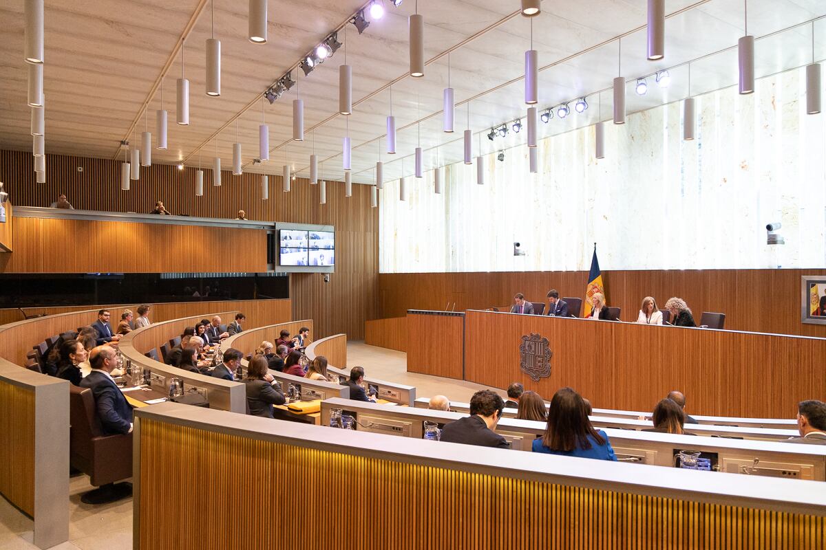 Sessió del Consell General