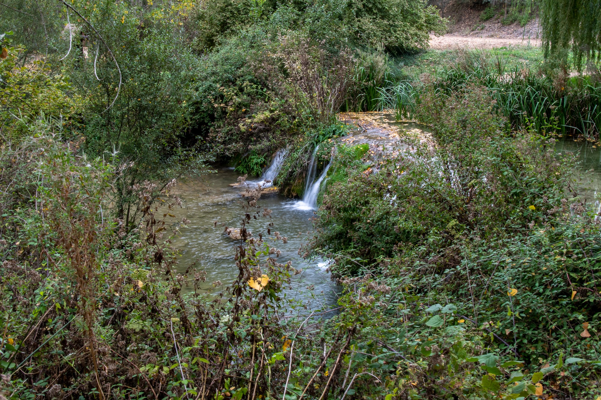 Aviana, en Banyeres de Mariola