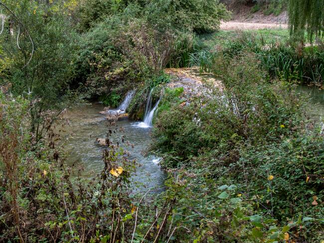 Aviana, en Banyeres de Mariola