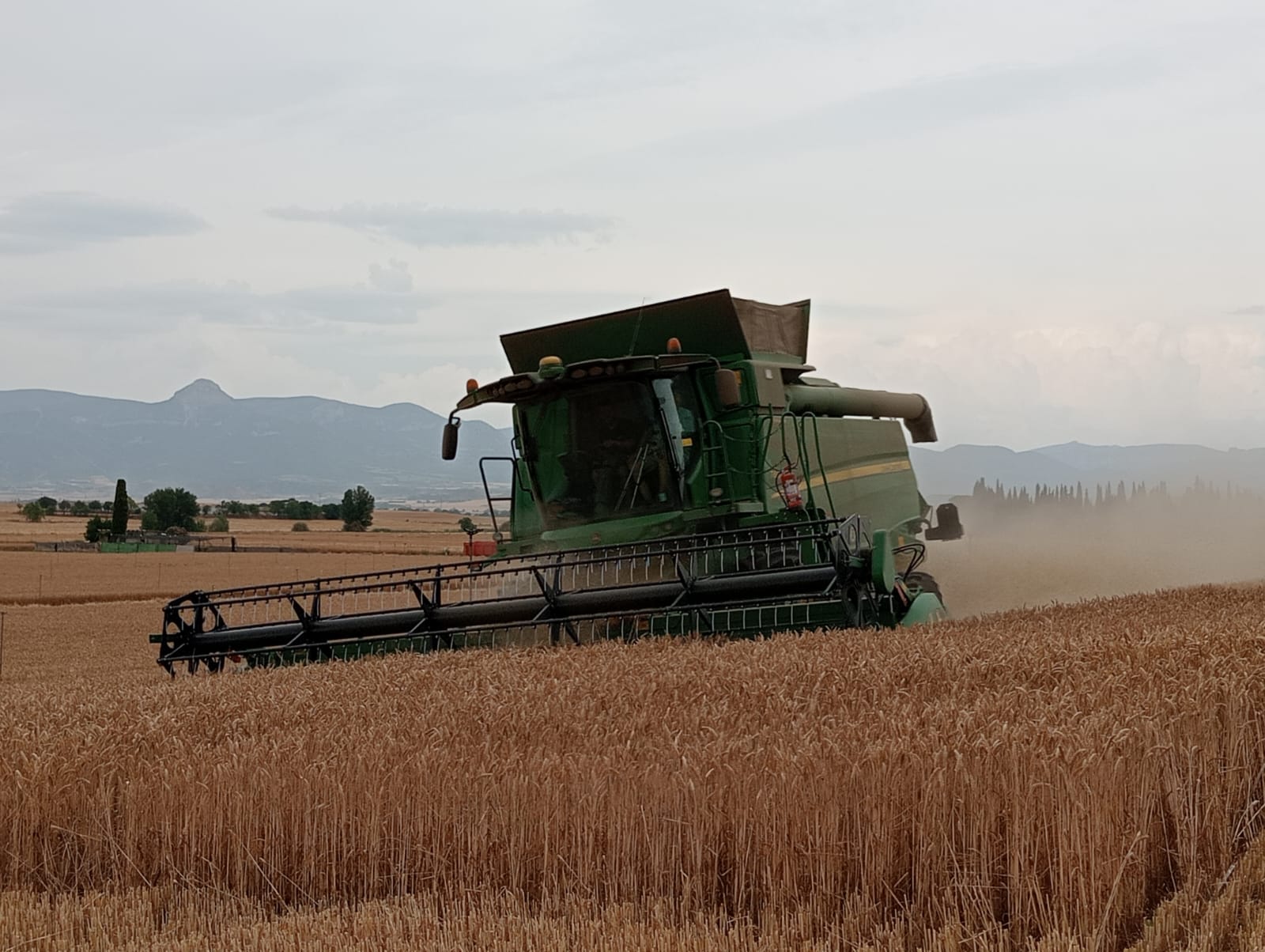Máquinas cosechando en la zona de la Hoya de Huesca
