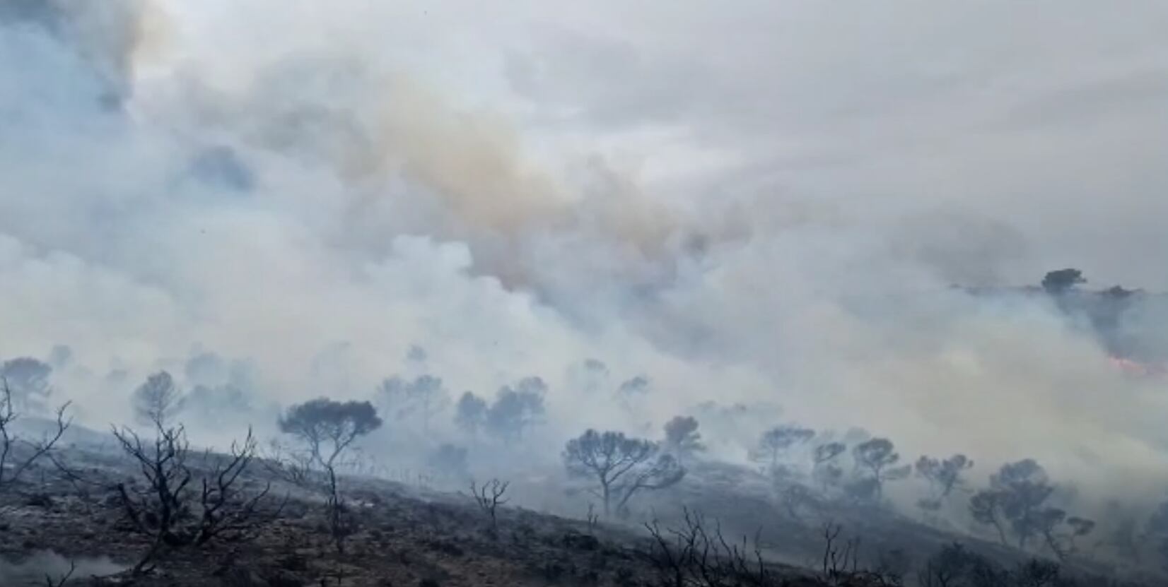 Incendio en Jumilla