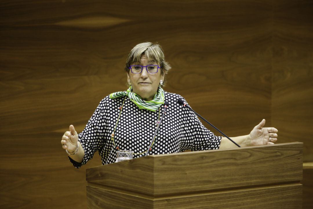 Marisa de Simón, portavoz de Izquierda Ezkerra