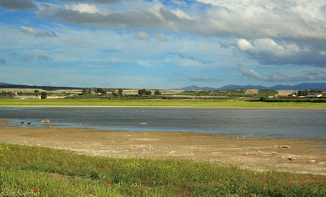 Humedal del Baíco en Baza