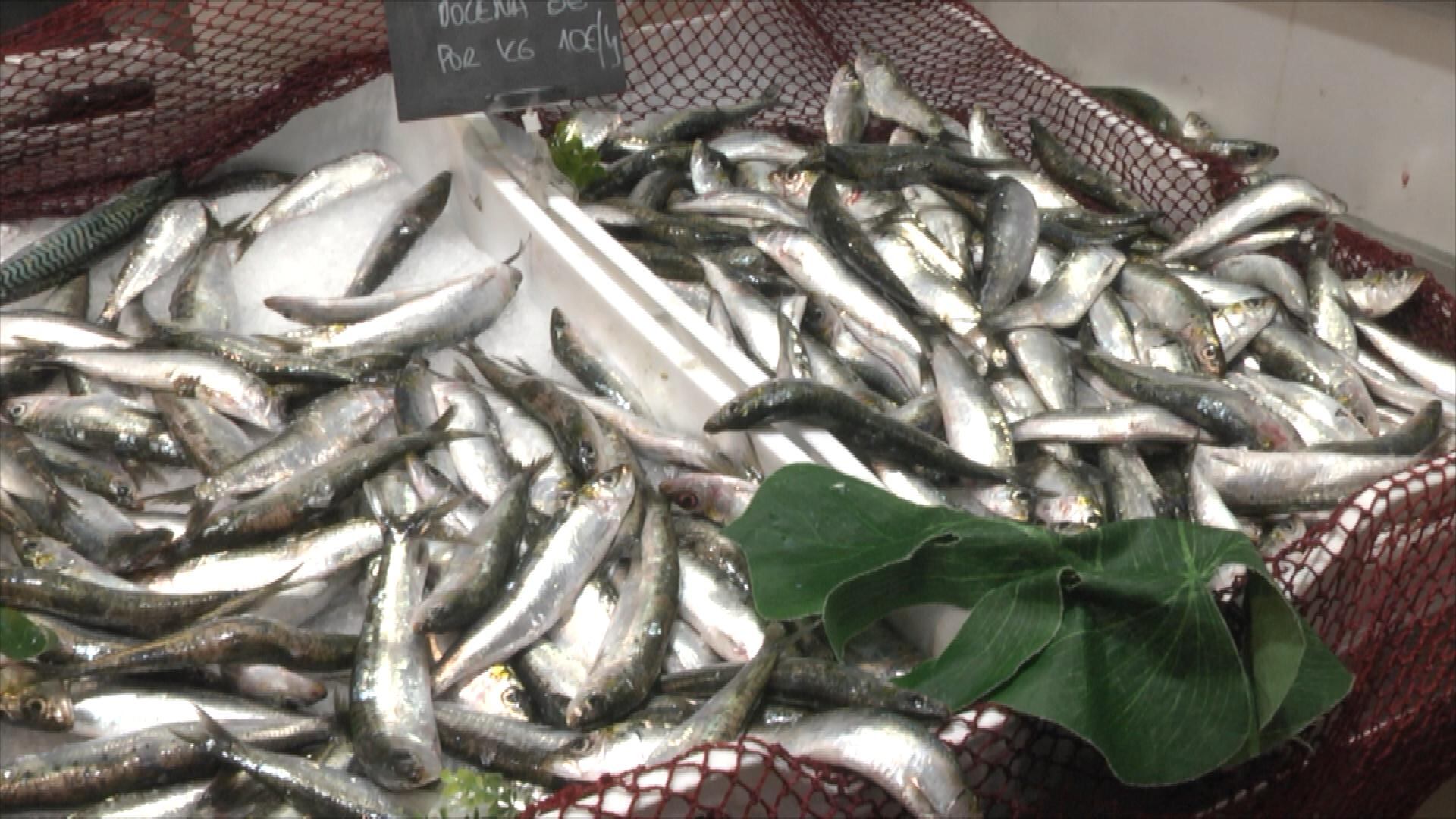 Sardina en venta en el mercado de O Progreso en Vigo