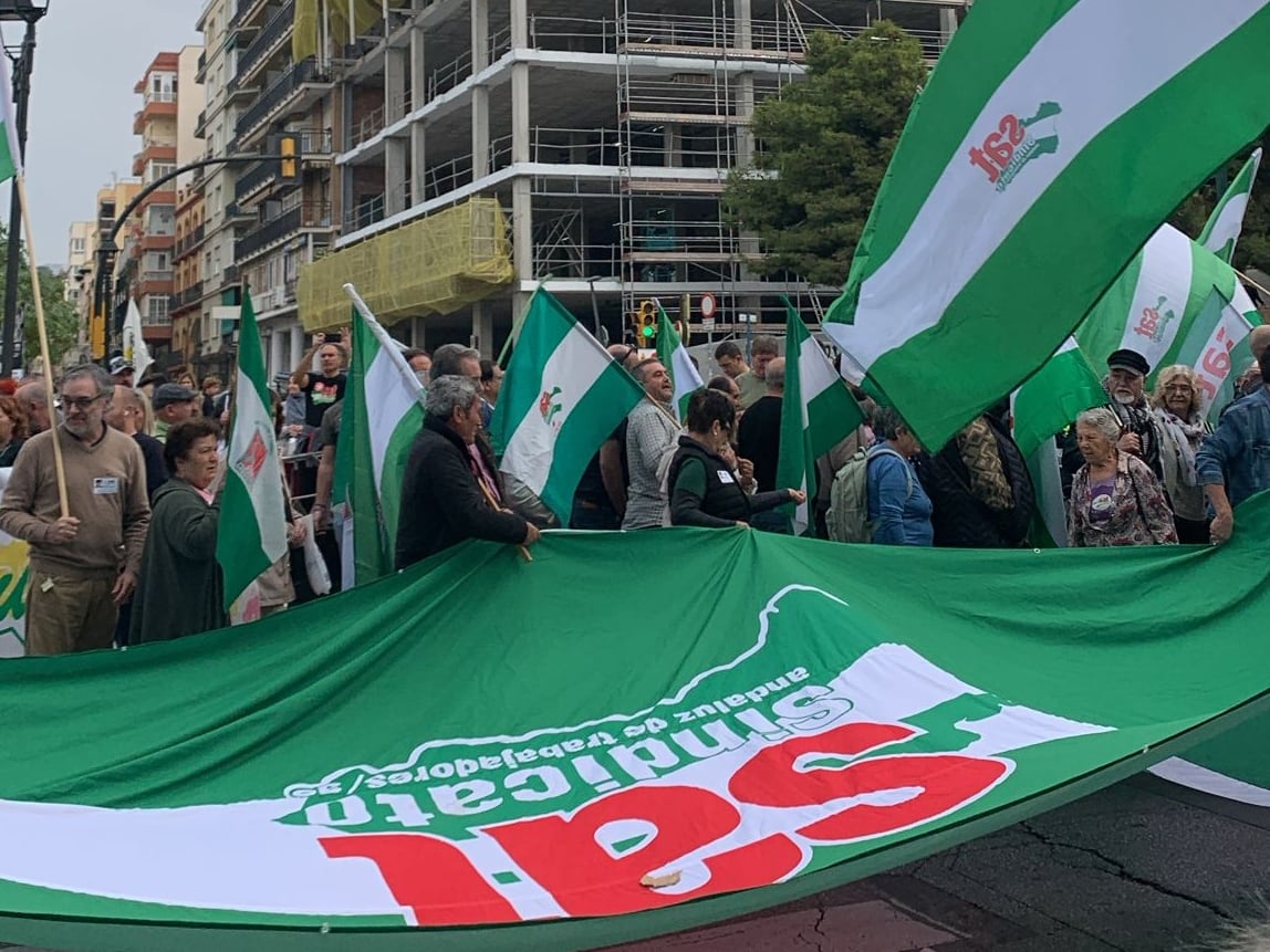 Marcha poco después de iniciarse este domingo en la céntrica Plaza de la Merced de Málaga este domingo, uno de diciembre de 2024