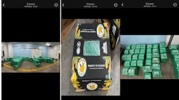 El exjefe de UDEF al que hallaron 20 millones de euros emparedados en casa pide declarar ante el juez