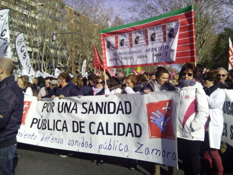 La plataforma de Zamora en la manifestación del 20 de enero en Valladolid