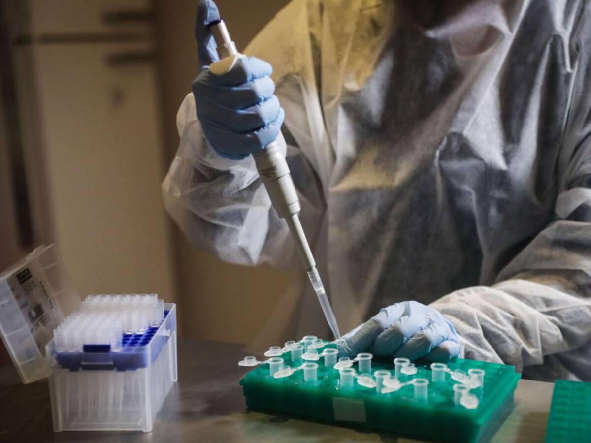 246 nuevos positivos por coronavirus en Bizkaia