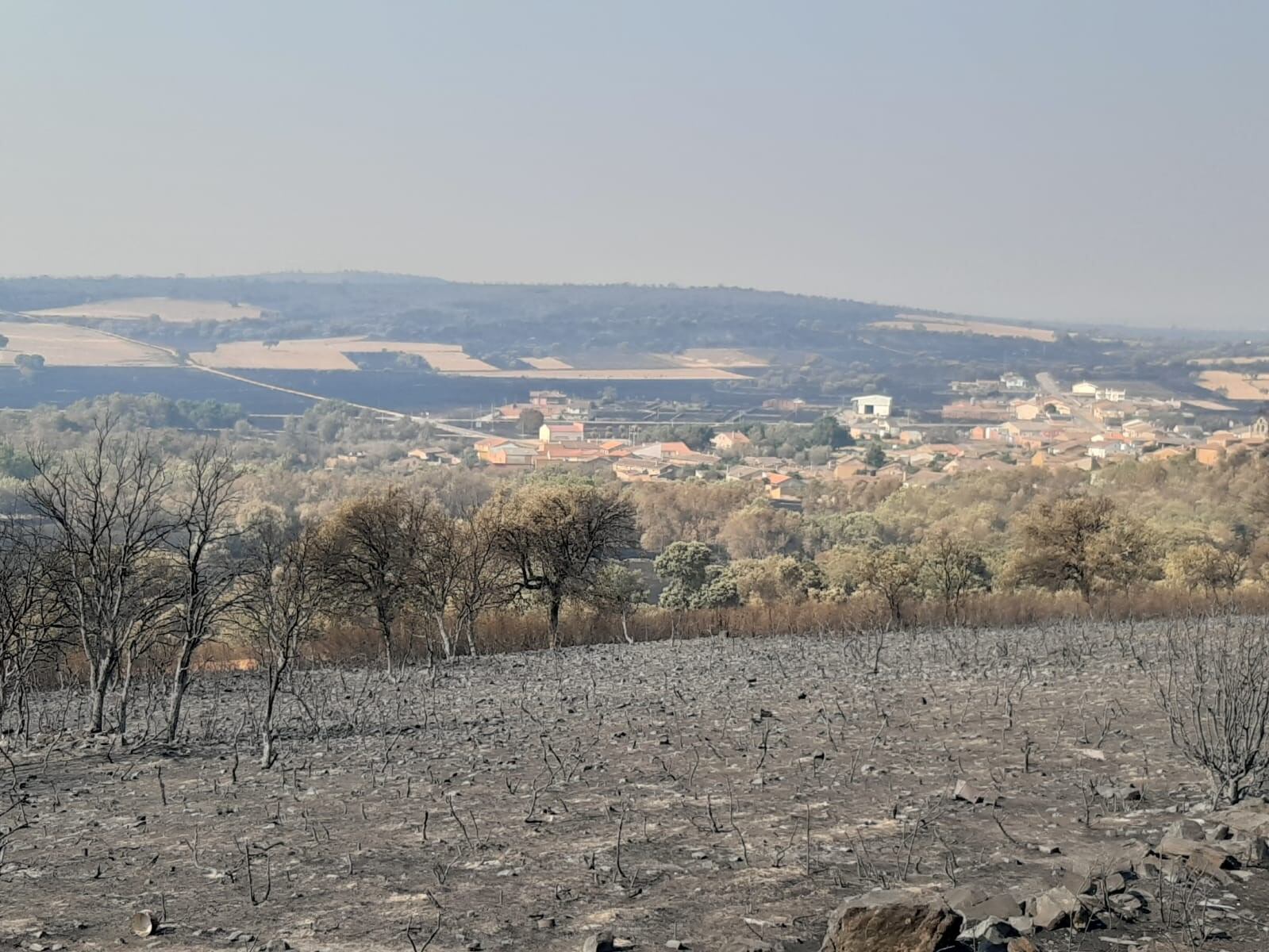 Terreno calcinado en San Martín de Tábara