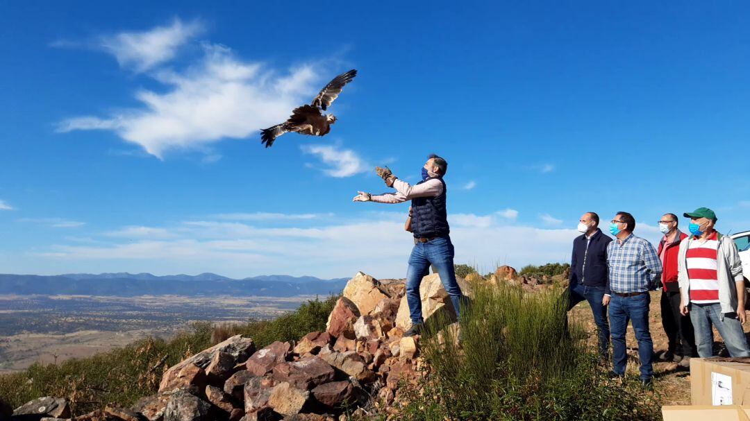 El viceconsejero de Medio Ambiente, Fernando Marchán, liberando uno de los dos águilas imperiales ibéricas
