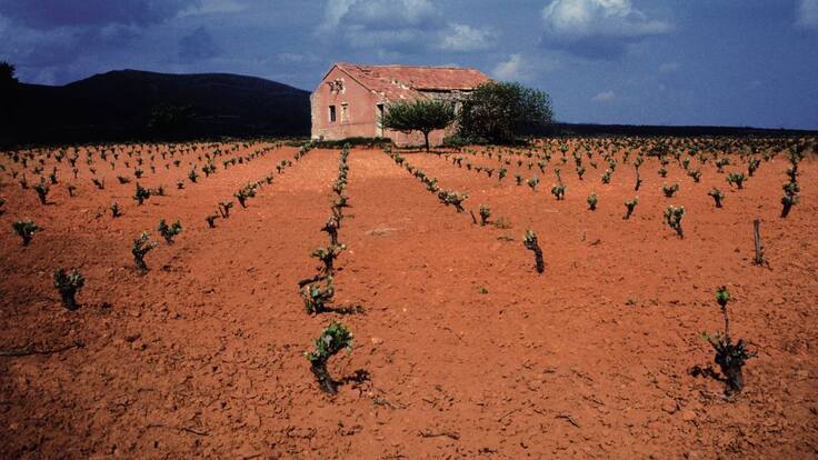 La llavor (11/01/2020)