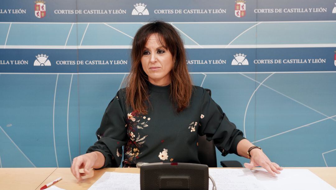 El PSOE de Castilla y León ha cuestionado el acuerdo alcanzado en el Congeso con EHBildu