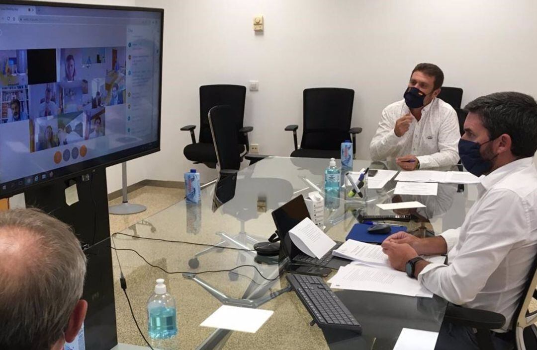 El consejero Luengo durante la reunión telemática