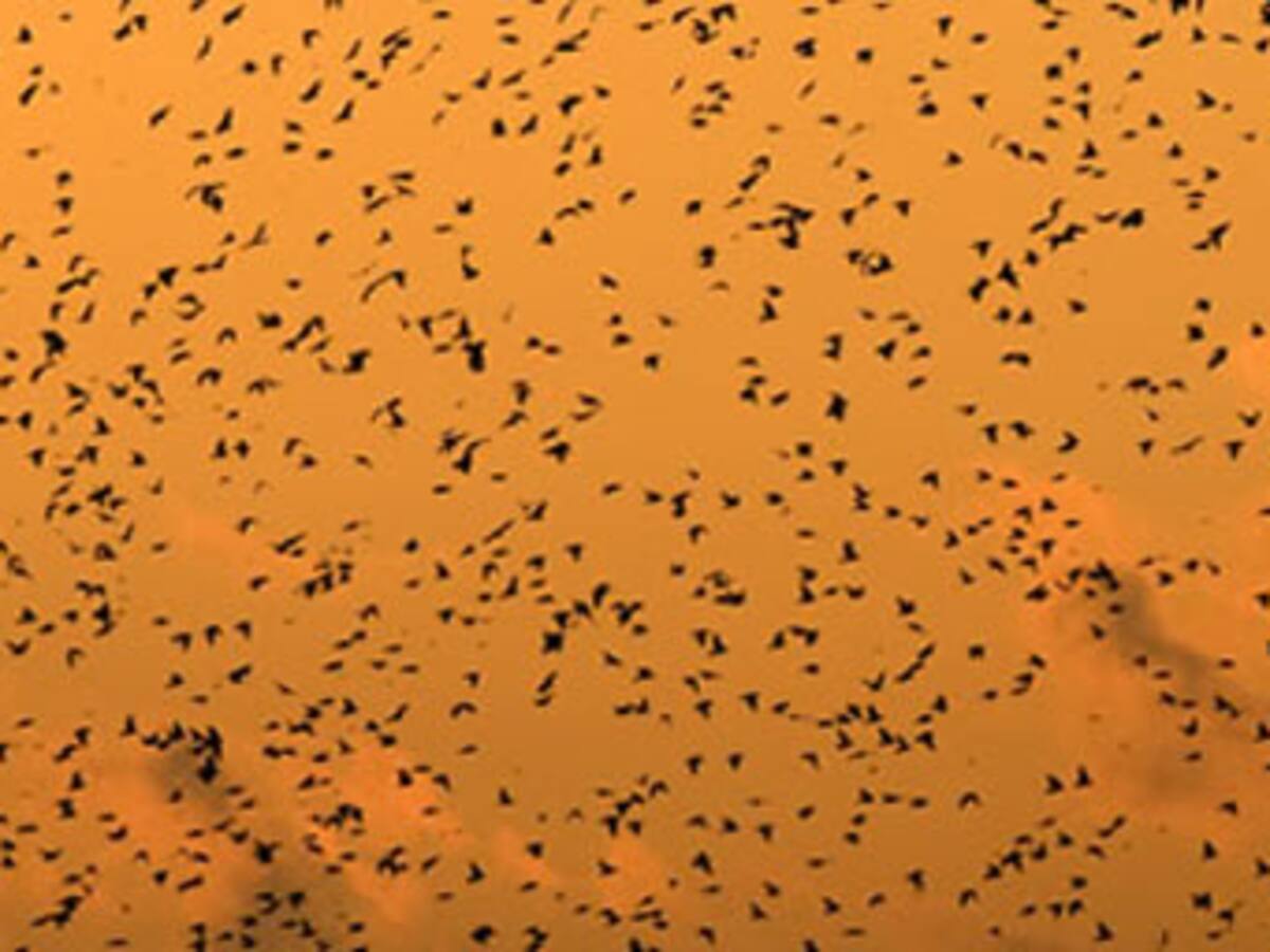 El Vaticano entra en la lista de países vulnerables al blanqueo de dinero