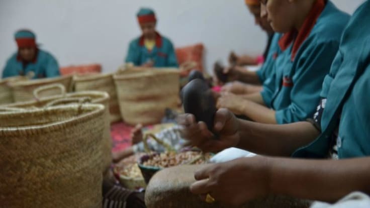 ¿Cómo se hace el aceite y la miel de argán?