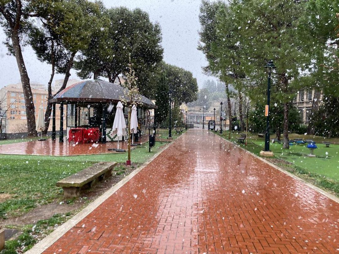 Los copos de nieve cayendo en el paseo de Cervantes, en Alcoy, en la tarde de este 18 de marzo.