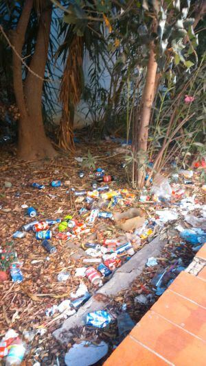 Situación en la que se encuentra la avenida España.