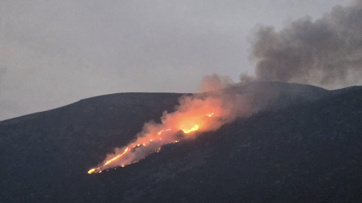El alcalde de Cervera relata la descoordinación en la gestión de los incendios