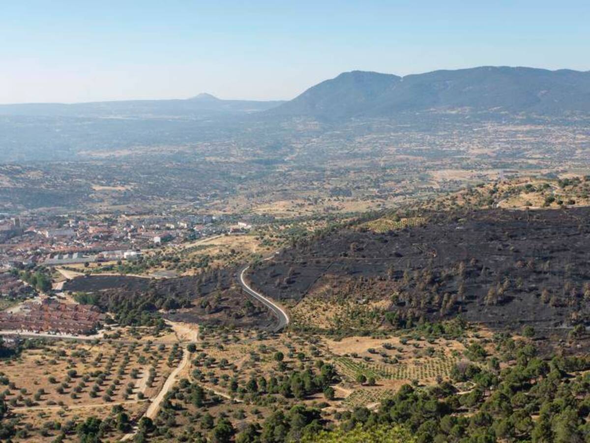 El Gobierno actuará de manera urgente en el área afectada por el incendio de Cebreros