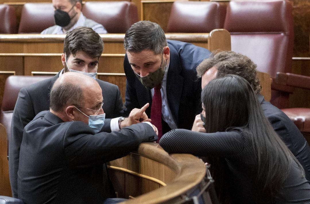 Diputados de Vox en el Congreso