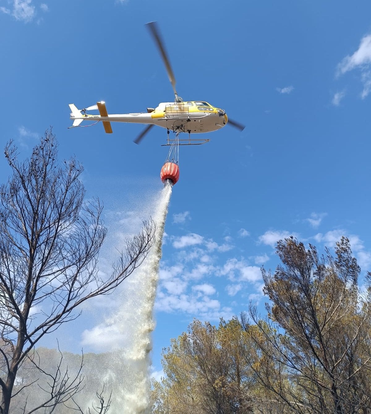 Imagen de las tareas de extinción